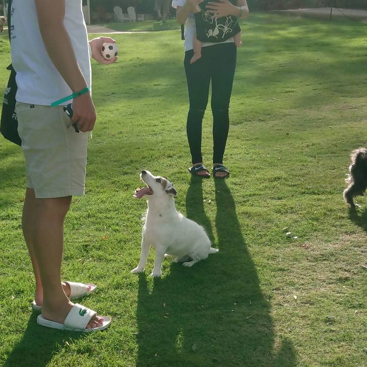 513f3a26 b84b 4205 b2b2 68024f45bd1f 1536498087494