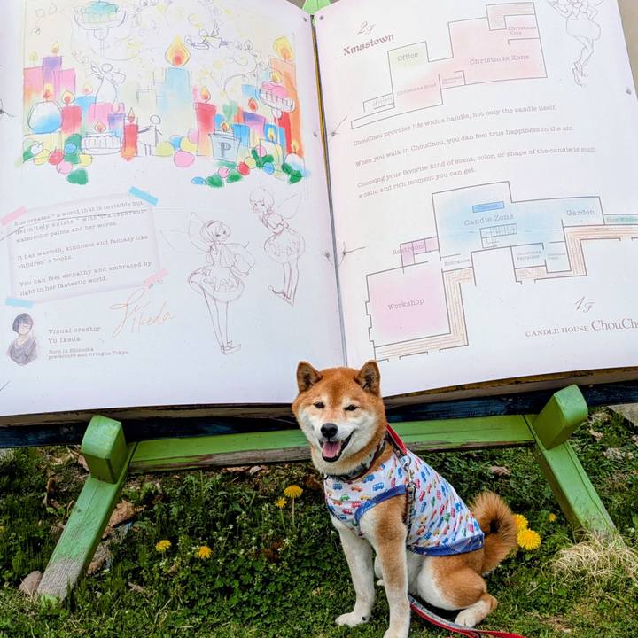 513f5106 9cb5 4e1c b6c7 8ce35335be13 1745408210172