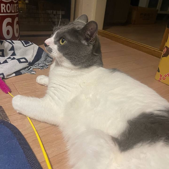 513f684f f75b 4cf6 8266 d547d4bd1566 1686924952427