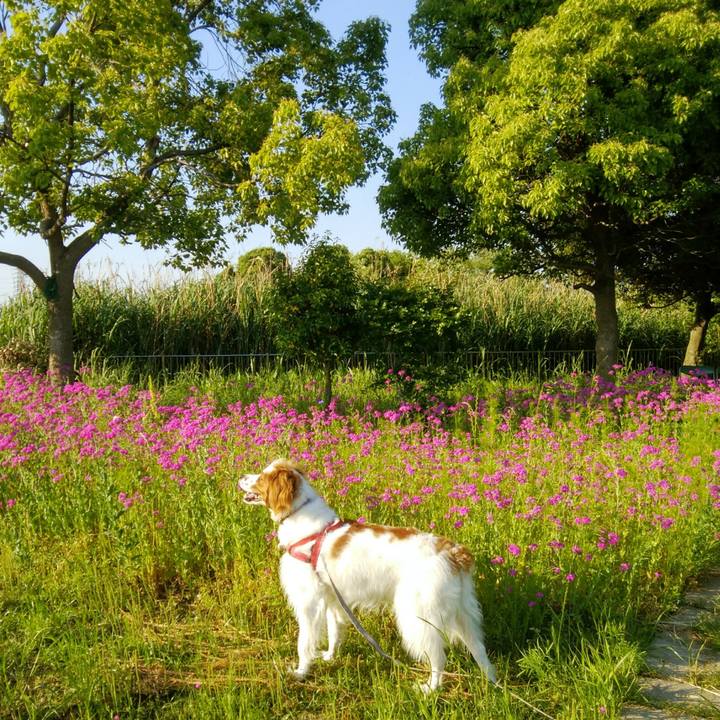 513fc158 d6e5 4e47 a43e fb8aaa7276c6 1558698273478