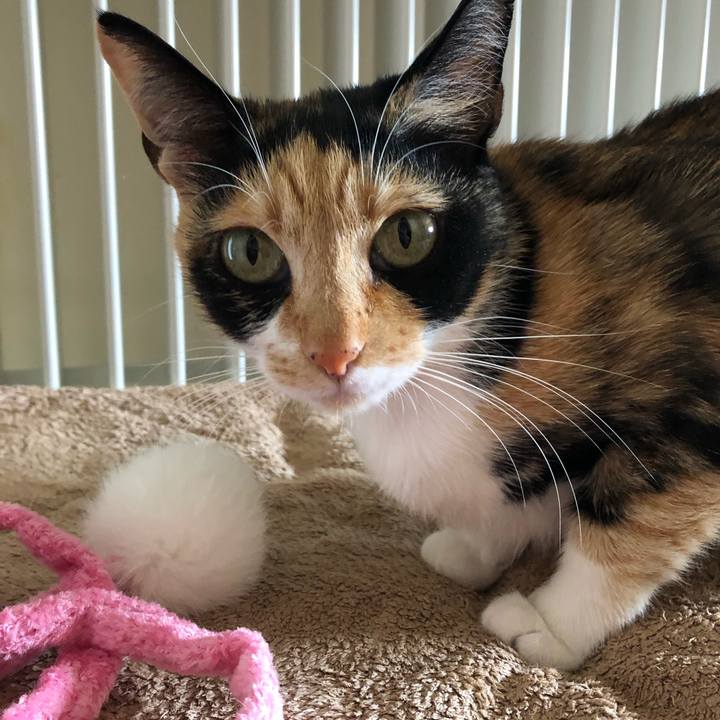 513fd062 e8ce 4394 9971 960f1777e9be 1552891793273