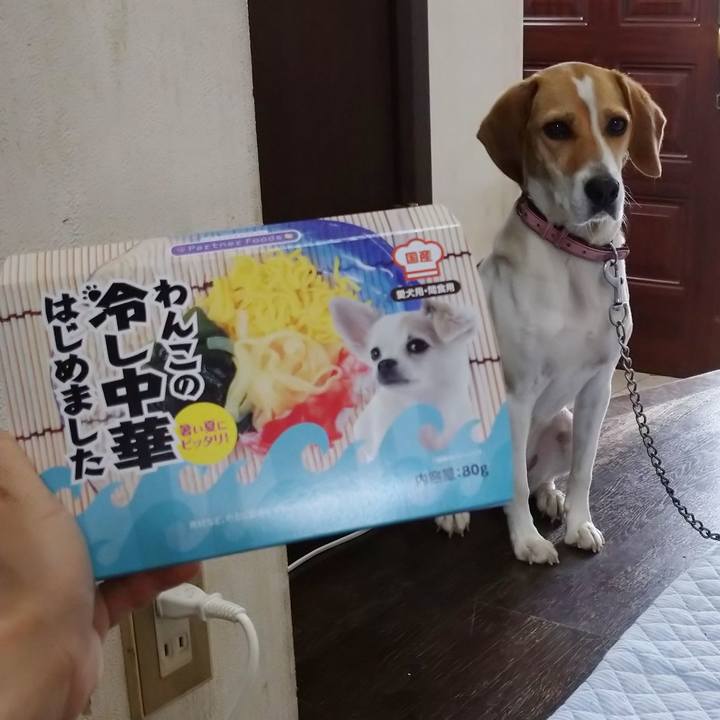 513ffcfa 7c34 4c45 8bd5 28e757604990 1592636753584