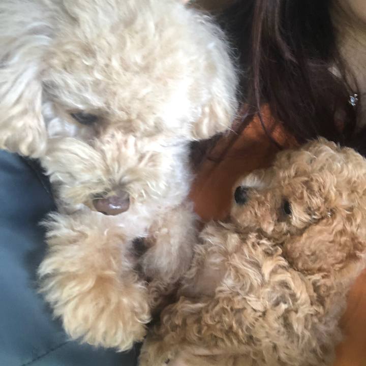 513ffd4e b7ff 4570 9ced 52d757e6941f 1571544981209