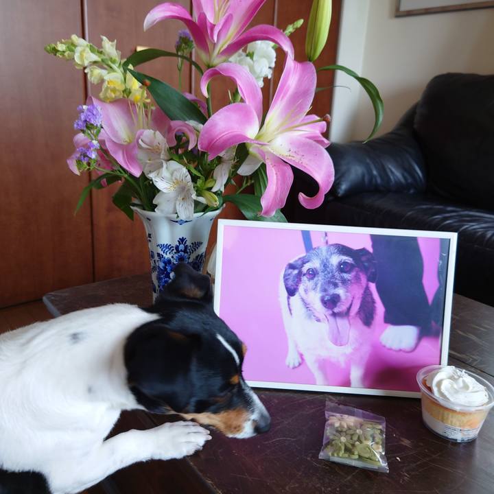 51401644 93f8 415b 8412 b0b6ad587200 1651120237704