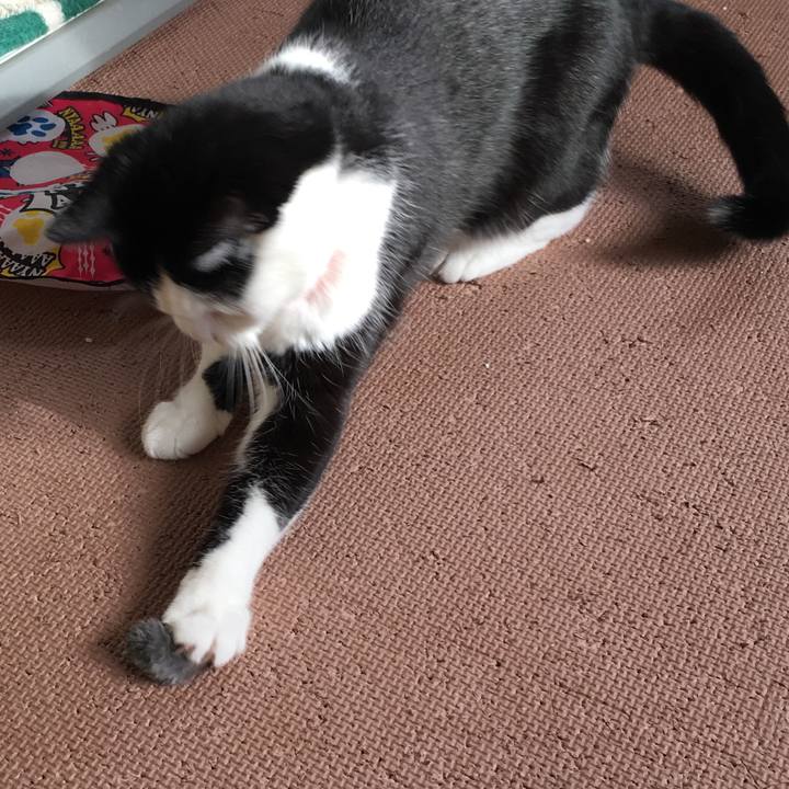 51402659 2ec3 42df aa97 ab0eecfb17e1 1510620627560