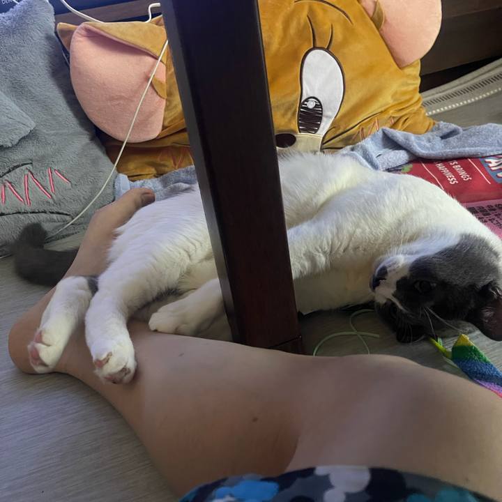 51403772 87f6 4d5f 9d11 6a86347e3987 1754952718788