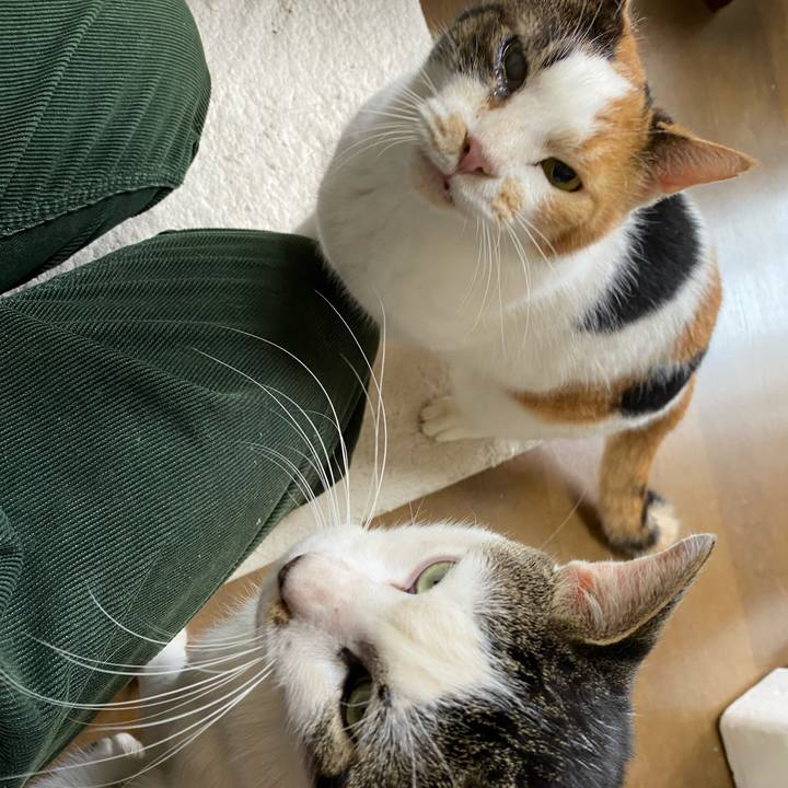 51404702 3622 4358 8a12 5eb34ab9ae55 1602577549172