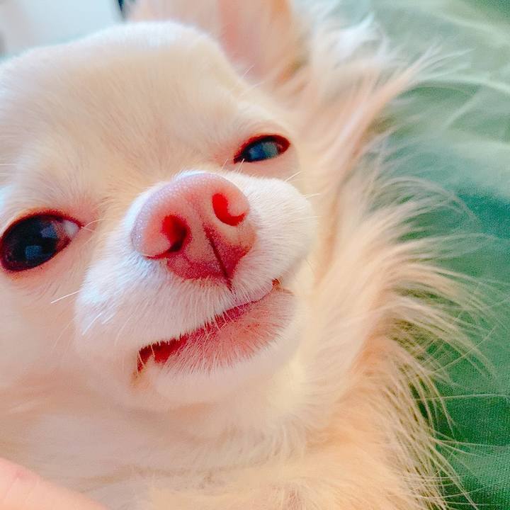 5140b1ea ef68 48bb bac0 bf834a4c4548 1623470138660