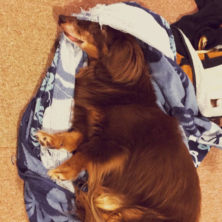 5140bc0e e838 4376 8d8f 37e04fa8a8c0 1535154740857