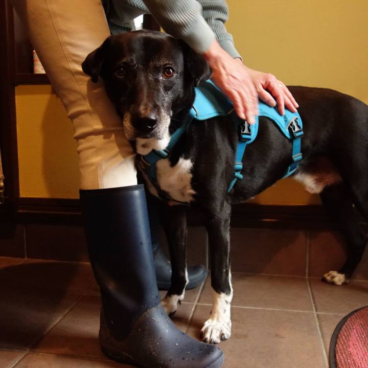 5140fd01 0ab3 44d5 90d2 703a37e46488 1748908237619