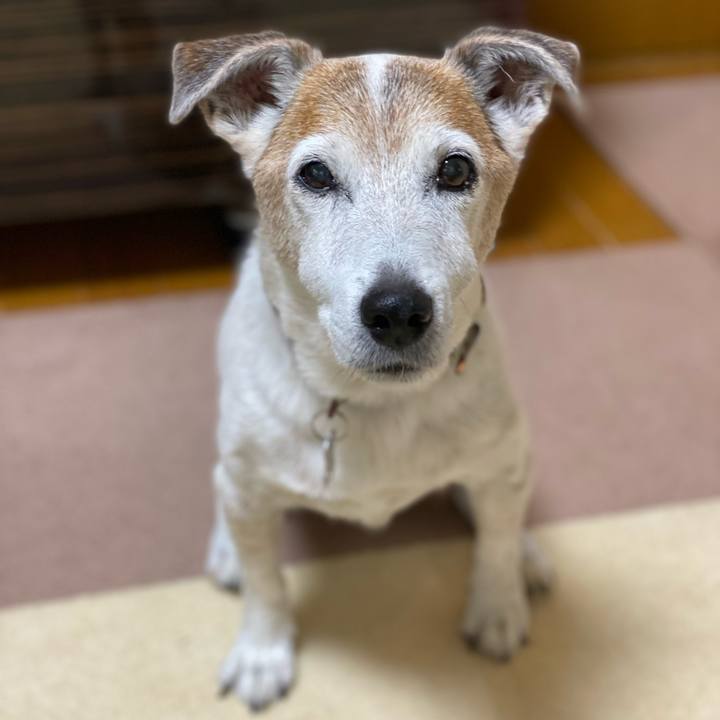 514103d8 3f42 444b 8ae1 d7bdd0fa96c4 1625952048995