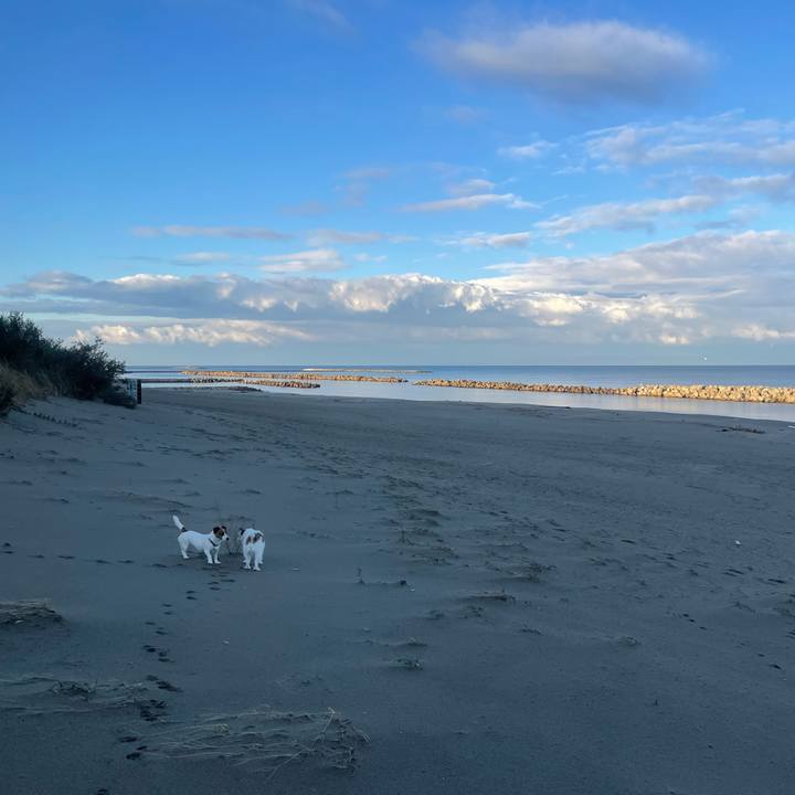 5141056f 6817 448f 8bef c5209249ce75 1732144753083