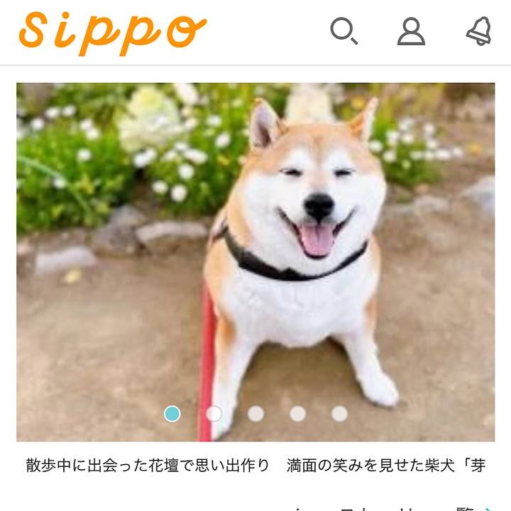 5141151d fba1 4889 9f2d e116df2f91ef 1683670538502