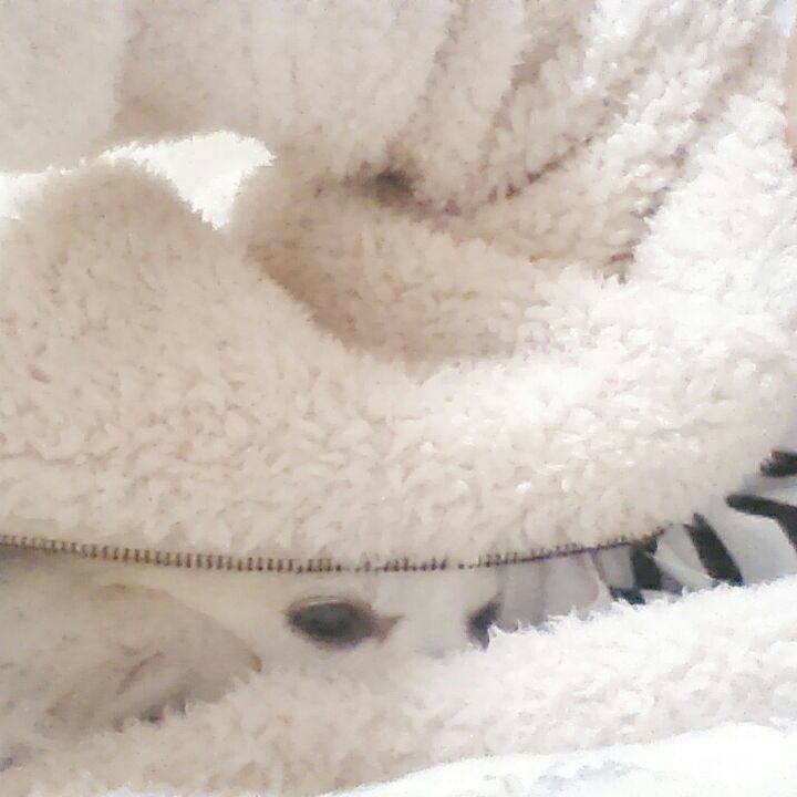 51415328 d324 479a 8acc 42a18d785b0c 1516367562658