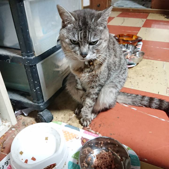 51415b30 c137 40e9 9358 fc3ffb5a5555 1590093273901