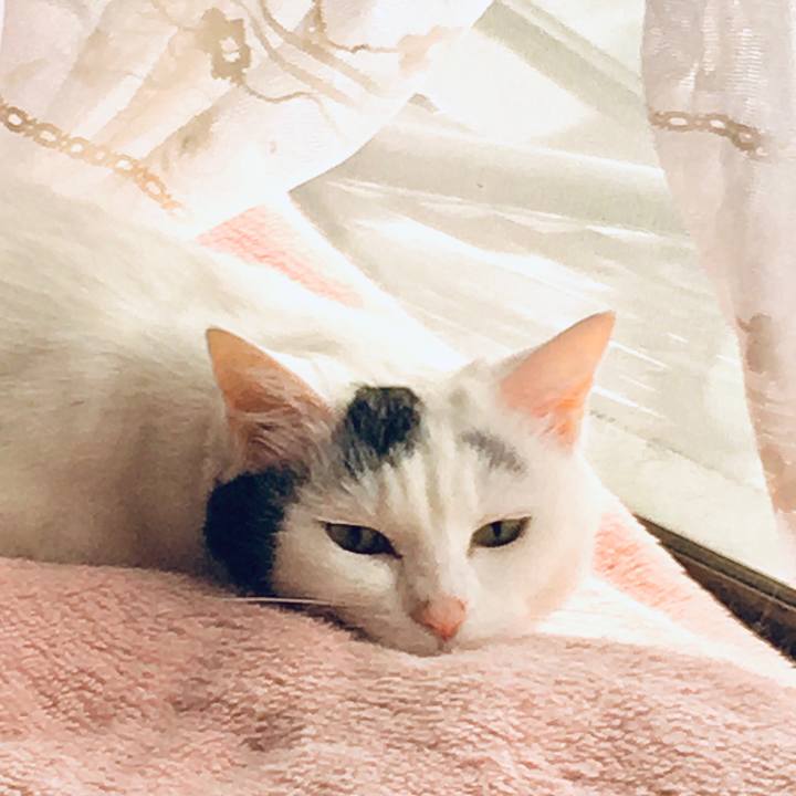 51417442 c69d 4158 9f3e 31977d692eb3 1572330300081