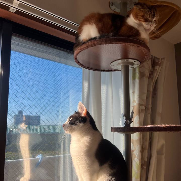 51419267 bc6f 4ffa be16 2ee20d75d597 1639179794226