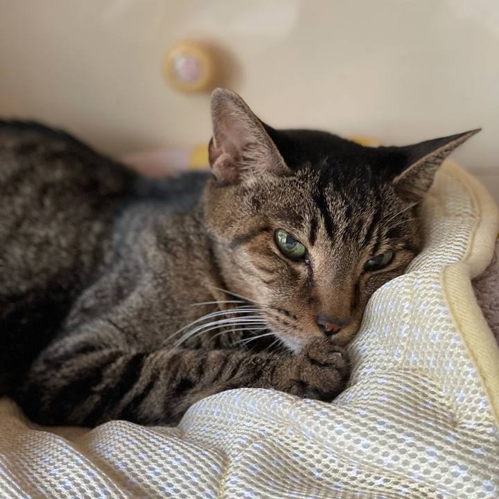 5141b689 0e68 48bd bd99 962865474704 1631496738907