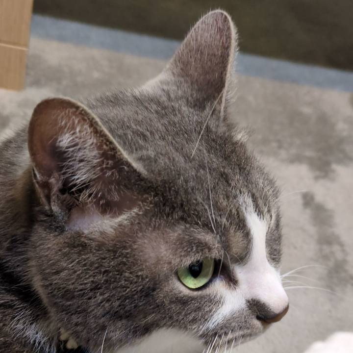 5141c3b3 fe45 417a 85f2 1f177291d845 1752500659379