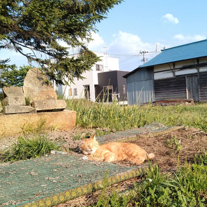 5141de7a 2caf 4646 8213 b6fe2b1cec40 1718099103936