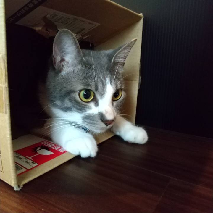 51421246 8d1f 4d58 94fa 0d598b7c169c 1596925689268