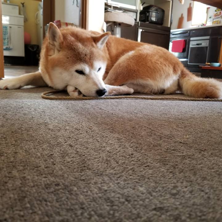 51425839 ff31 4e39 ba89 658a799ebd2b 1662773392857