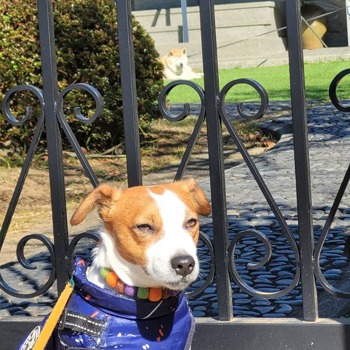 5142f183 af2a 465d 8d46 25e628ac0cd8 1706504123905