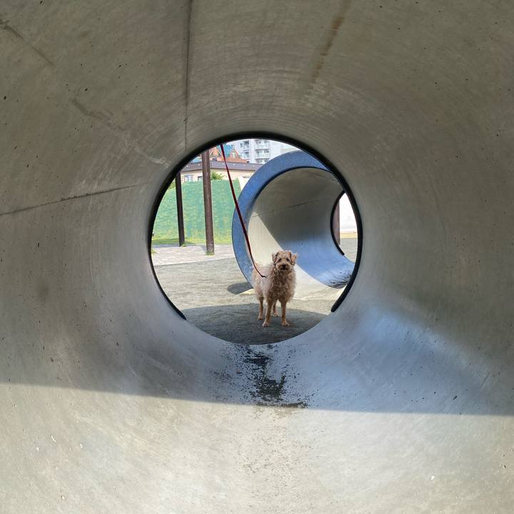 51430e55 7473 4e22 a157 07ec54f2a865 1655590934780