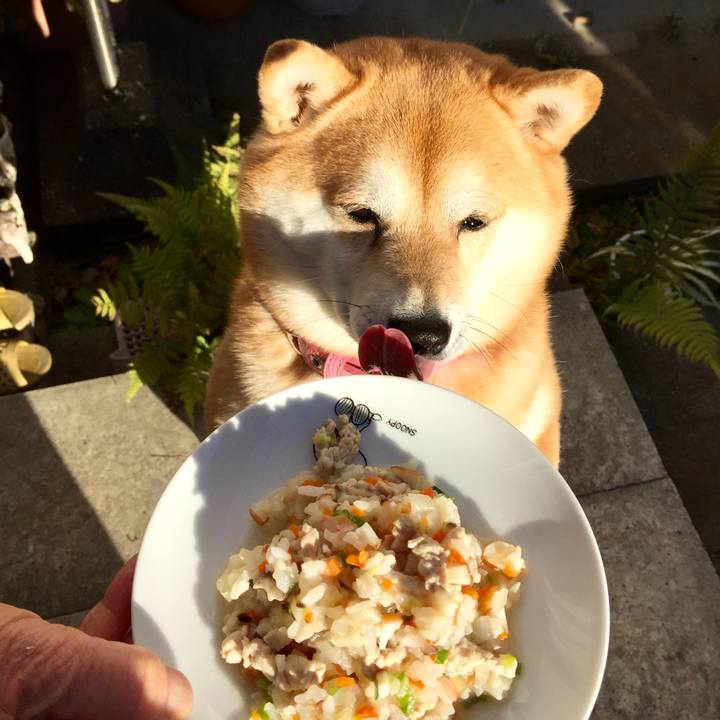 514334e6 b2c6 4b0b 94dd 6eedbc6dd15a 1547015769189