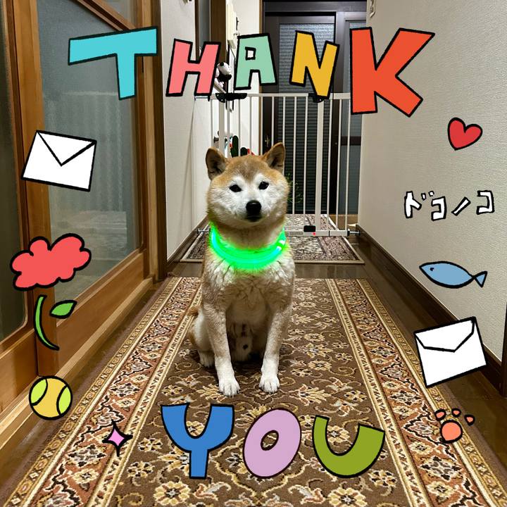 5143606c b6b0 498a 808e 7d8a55644007 1715511705488