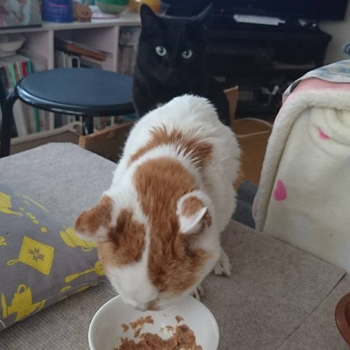 51436924 9c51 4de9 beff 475e19781f63 1624367983071