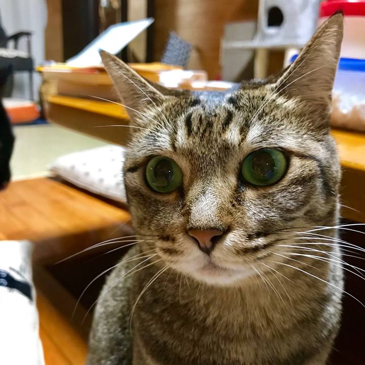 51437170 7342 4e54 a1bd 963aa579b69c 1530790889502