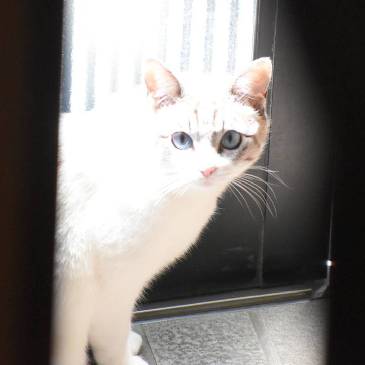 5143823a 2c83 4da7 9e76 af89db1e0ba7 1553397166224