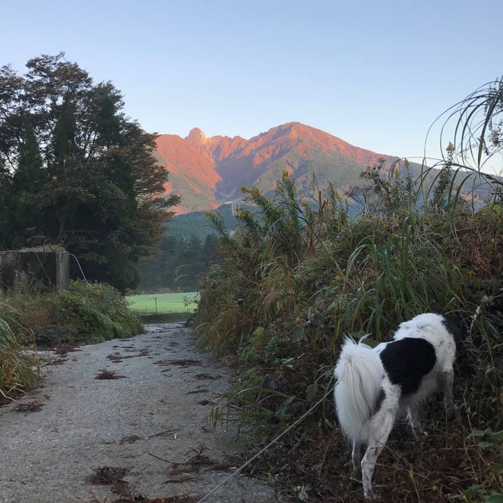 51439b29 422d 4468 b490 056013806ca5 1509543404543