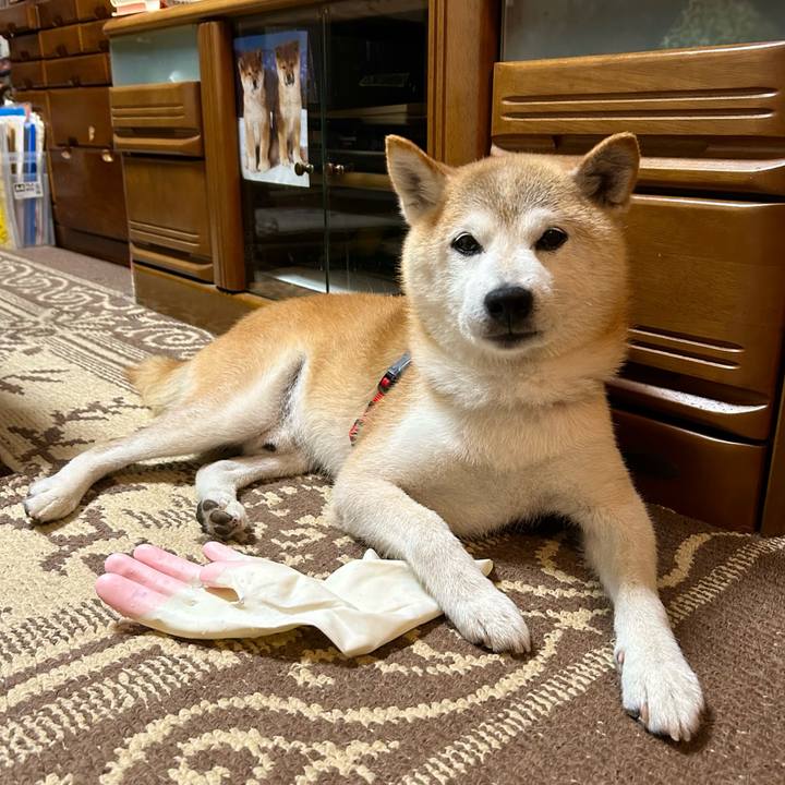 5144105a 9a7c 459d 8167 3da717d6729c 1752490393446