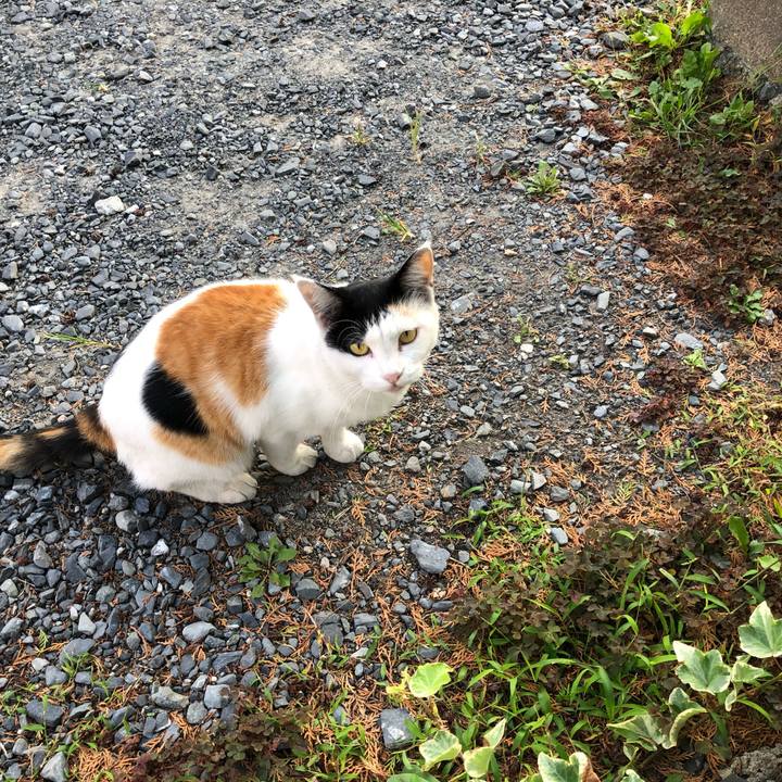 51441a58 bb98 4069 9fd7 016e070a8161 1600812525412