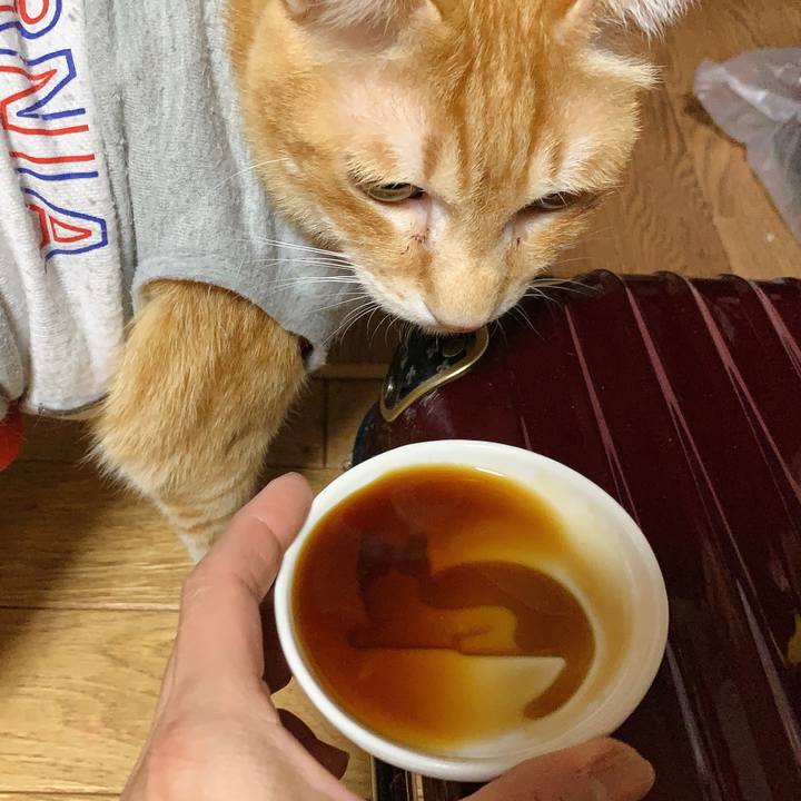 51443bee e6cc 4849 9945 5c6526cdf75e 1614597105861