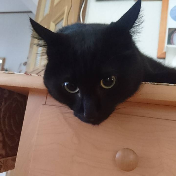 5144449b 2552 41b9 a737 349b080266e6 1566082179866