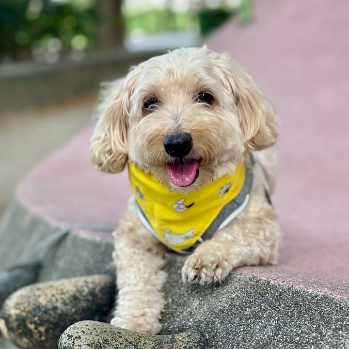 51444e31 78c0 44d1 8013 815b218264f7 1758682573011