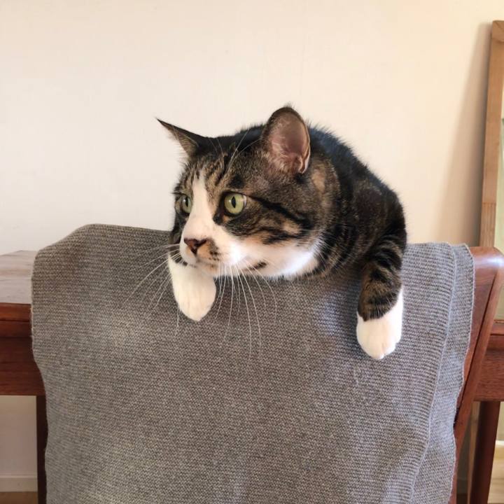 51447f44 10ce 4603 a486 6ce34a34eca0 1574463836022