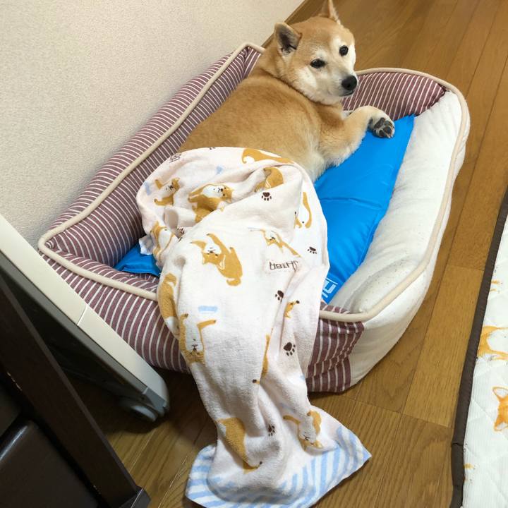 514484ad 8f07 437c b922 4c98b1dbfffd 1589864646465