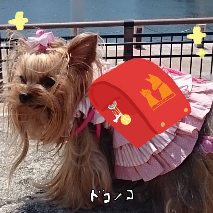 514498de 286e 45f1 bbc9 5f05bce6d3fb 1744253853420