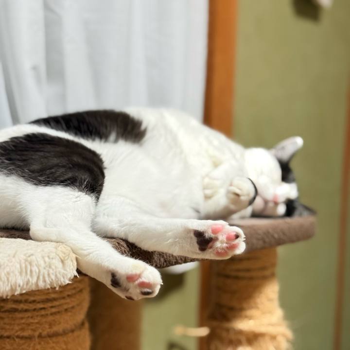 5144cb6c 66e1 404d 8c6e 376eee9b4cfe 1764207681393