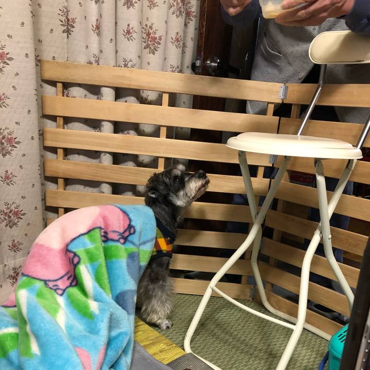 5144cff9 2374 4262 88f0 558007d96d41 1643291587085