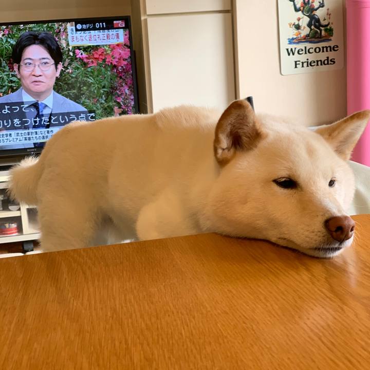 5144d281 e0b4 4090 b7fc c615a6dce844 1556623263620