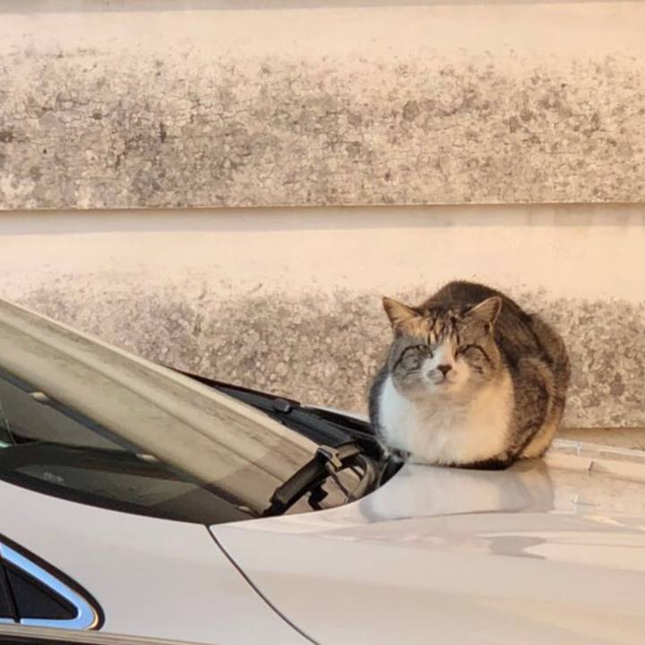 5144e7f7 80ef 4558 bf91 ecc1047ccfd4 1525426511346