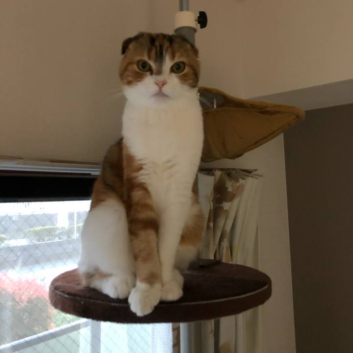 5144f71f 046a 4d2e 9b4d a35faea38e2c 1522233227019