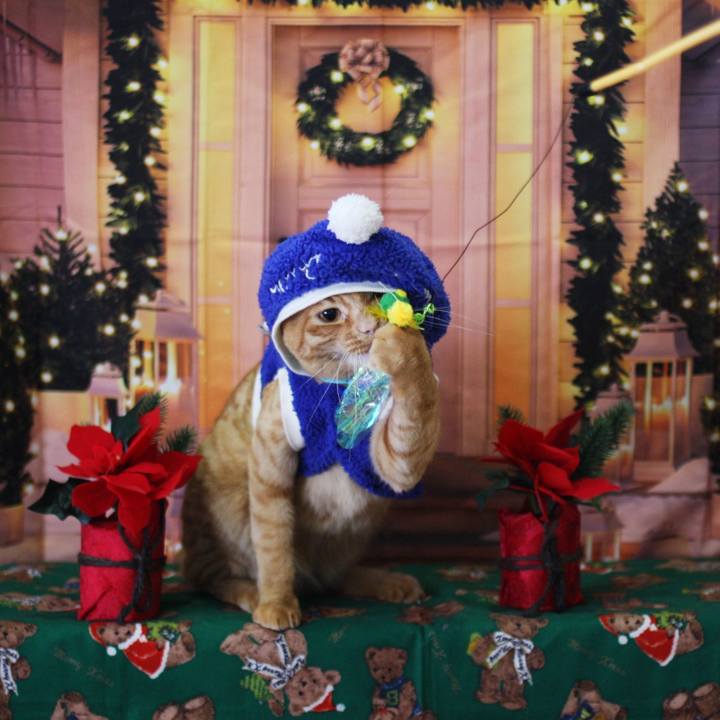 5144faca 922c 456d a03f be89dc8ba393 1735190378616