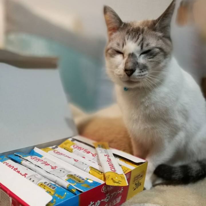 51450cc0 fb9e 4f81 92a8 dab0bfde9b48 1550826300244