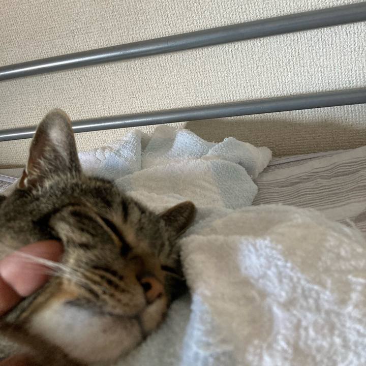 51451d76 b5a3 40de 89ea 3463027a45d1 1692822191525